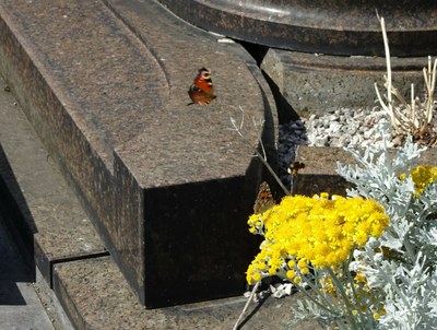 cimetière