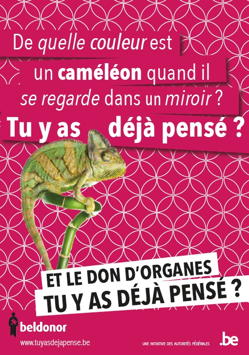 don organe