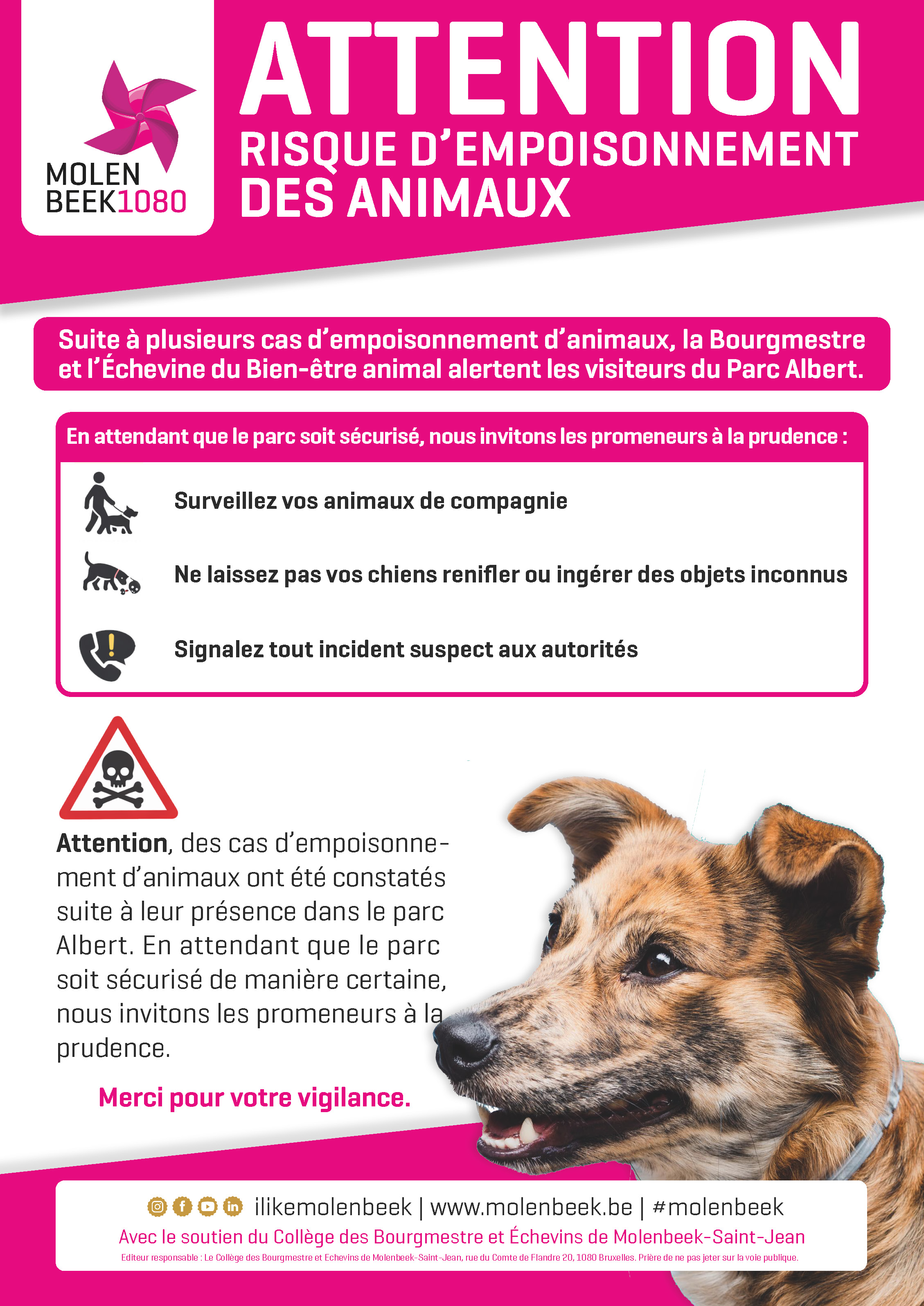 ATTENTION RISQUE EMPOISONNEMENT DES ANIMAUX 130326